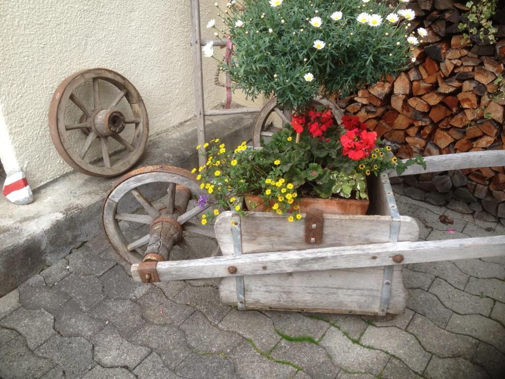 Hotel Schöntal Filisur Exterior foto